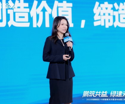 東鵬控股人事變動(dòng)：何穎任副董事長兼總經(jīng)理