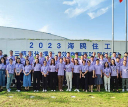 從戰(zhàn)略到執(zhí)行，四維衛(wèi)浴手把手教你如何破局