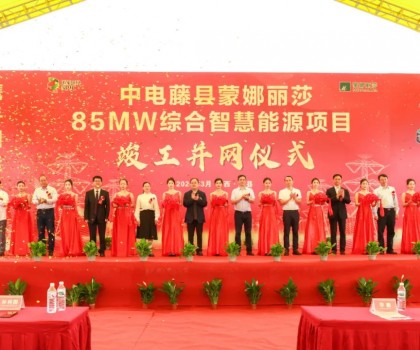 廣西最大工商業(yè)屋頂光伏項(xiàng)目在蒙娜麗莎正式并網(wǎng)啟用！