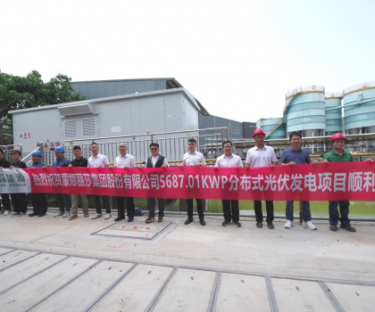 蒙娜麗莎西樵生產(chǎn)基地分布式光伏發(fā)電項目順利并網(wǎng)