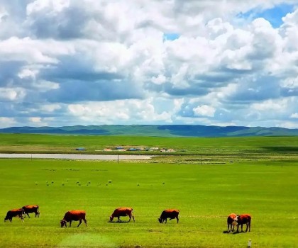 艱苦卓絕，奮楫篤行! 2025唐姆渠道事業(yè)部年中營銷峰會圓滿舉行