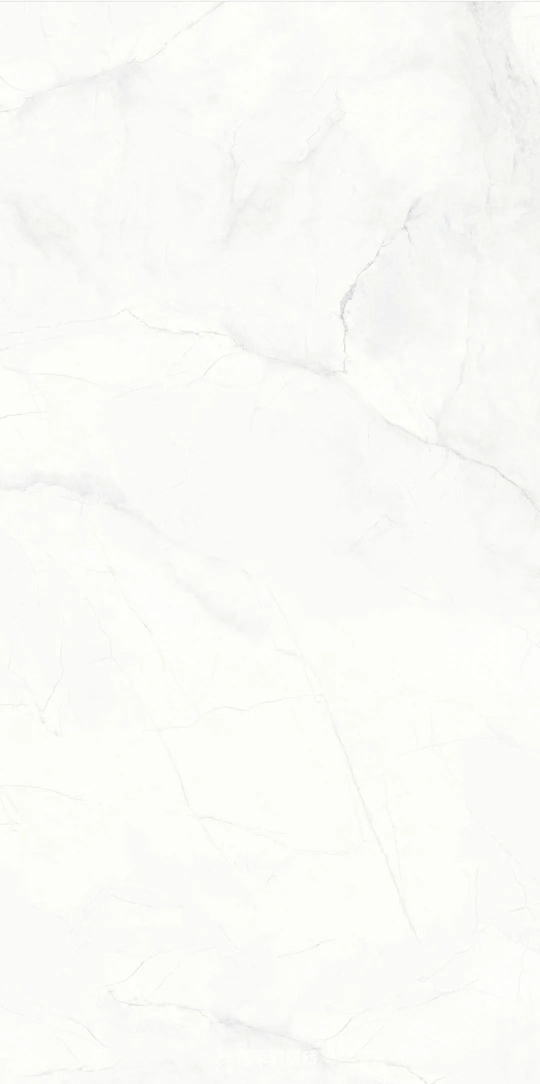 1685082103570243.jpg 3.jpg