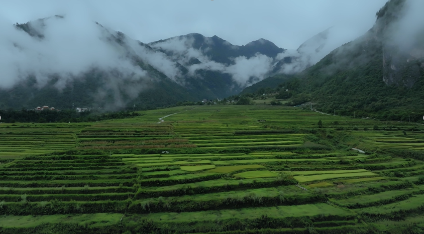 1697597581880352.png image.png