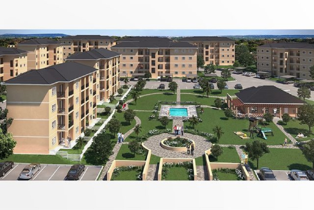 1698219176746306.jpg 8.jpg