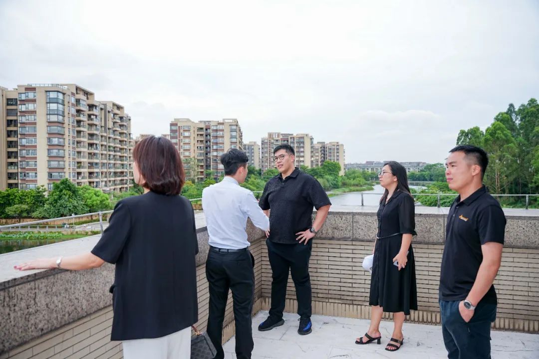 1721615879489828.jpg 10.jpg