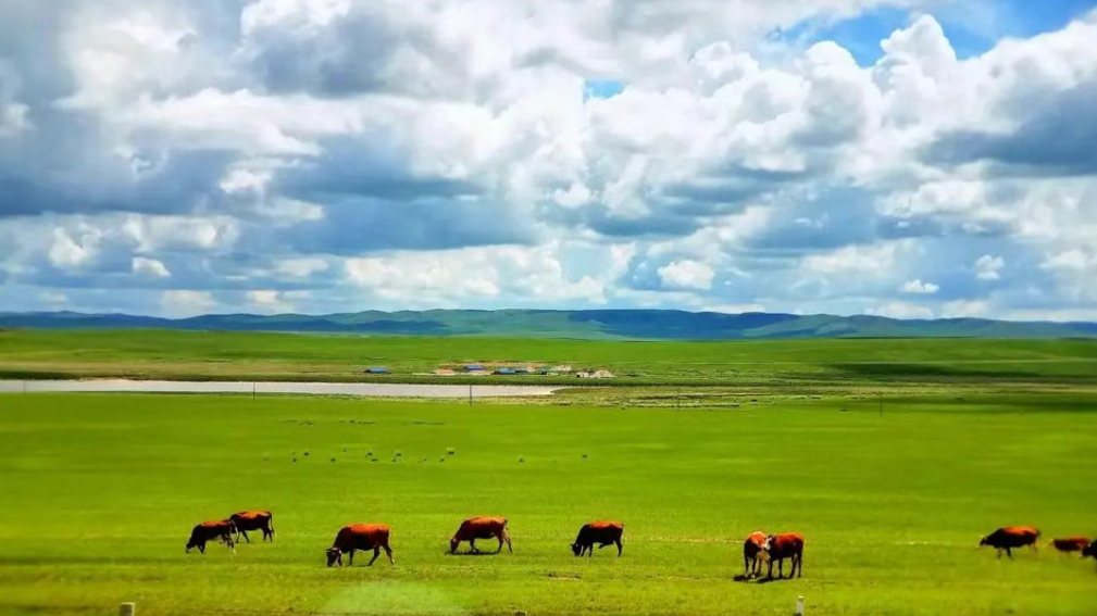 1752733977523748.png 1752733959225.png